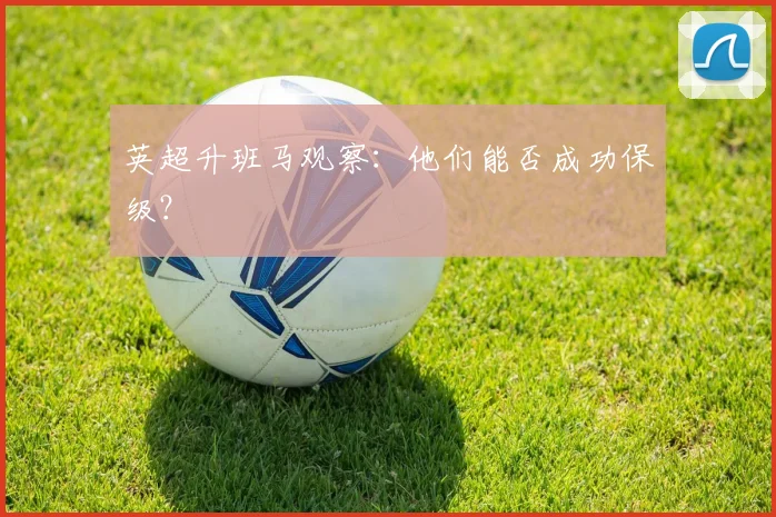 英超升班马观察：他们能否成功保级？